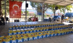 Manisa'da kadınların hünnap mesaisi başladı