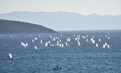 Bodrum Ticaret Odası 13. Bodrum Uluslararası Optimist Yarışları sona erdi