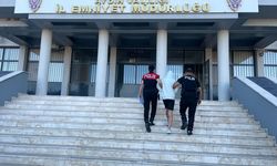 Efeler'de hırsızlık şüphelisi tutuklandı