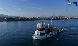 Ege'de balıkçıların ağlarını sardalya doldurdu