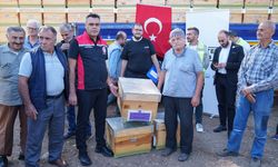 İzmir'de orman yangınlarından etkilenen bölgelerde arı kovanı dağıtıldı
