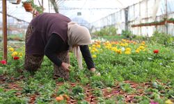Muğla'da, üreten kadınlar ve yerel kooperatifler destekleniyor