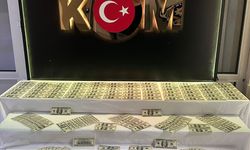 Sahte dolarla yakalanan şüpheli gözaltına alındı