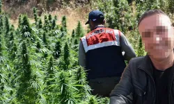 Eşme'de arazisinde esrar yetiştiren imam tutuklandı