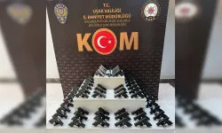 Uşak’ta Kaçak Silah Operasyonu; 1 Tutuklama