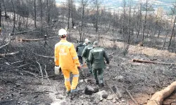 Uşak ve Denizli’de 306 Milyon Fidan Toprakla Buluştu
