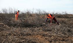 'Alev savaşçıları' bu kez fidan dikimi için sahada