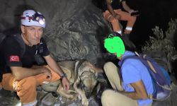 Datça'da dağlık alanda kaybolan kişi kurtarıldı