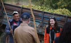 Genç mimar ile inşaat mühendisi babası 'meyve ormanı'ndan 20 ülkeye ihracat yapıyor