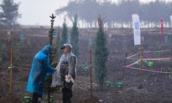 İzmir ve çevre illerde fidanlar toprakla buluştu