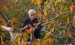 İzmir'de 20 yıllık ceviz ağaçlarını kesilmiş halde bulan çiftçi jandarmaya başvurdu