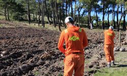 Manisa'da hükümlüler ormanların geleceği için görevde