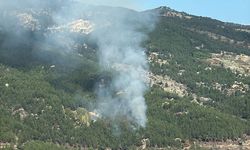 Muğla'da ormanlık alanda yangın çıktı