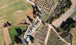 Muğla'da tıbbi ve aromatik bitkilerin üretim alanı 10 yılda 300 dekardan 6 bin dekara yükseldi