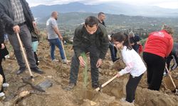 Ödemiş'te Milli Ağaçlandırma Günü'nde fidan dikildi