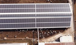 Tarım Orman Gençlik Konseyi, tarımın geleceğini şekillendiren gençlere rehber oluyor