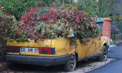 İzmir'de 8 yıldır park halindeki otomobili sarmaşıklar sardı