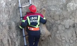 Uşak'ta Kuyuya Düşen Keçi Kurtarıldı