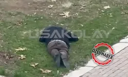Park'ta Hareketsiz Yatan Kişi Alkollü Çıktı