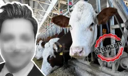 Uşak’ta Banka Memuru Çiftçileri Dolandırdı: 10 Milyon TL Vurgun!