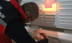 Tarım Müdürlüğü: “Denetimler Aralıksız Devam Ediyor!”