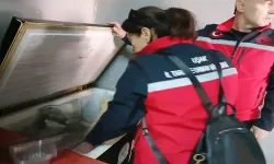 Uşak'ta 450 Kilo Tarihi Geçmiş Tavuk Ele Geçirildi