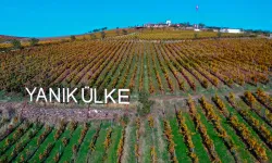 "Yanık Ülke'de" Kartpostallık Görüntüler