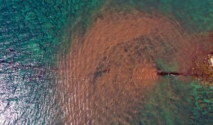 Didim'de kirli suyun arıtılmadan denize boşaltıldığı ihbarına inceleme