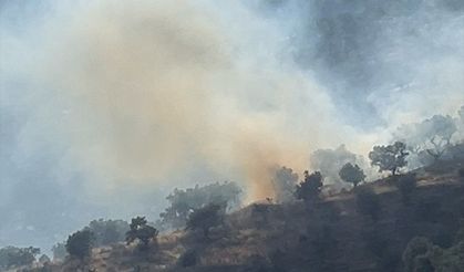 İzmir'de zeytinlik alanda çıkan yangın kontrol altına alındı