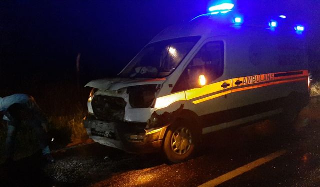 Nazilli'de Ambulansa Yol Vermek İsterken Kazaya Sebep Oldu