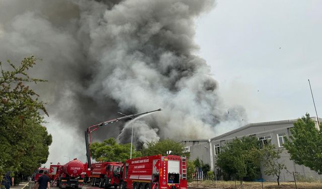 Uşak Organize Sanayi Bölgesindeki Ferhat Elyaf'ta Yangın Çıktı