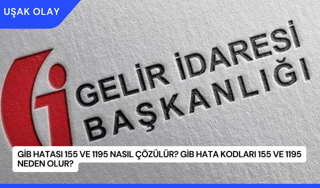 GİB Hatası 155 ve 1195 Nasıl Çözülür? GİB Hata Kodları 155 ve 1195 Neden Olur?