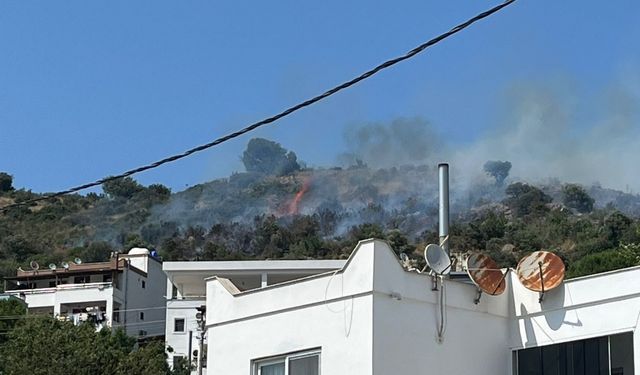 Bodrum'da makilik alanda çıkan yangın söndürüldü