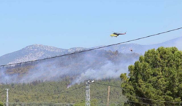Manisa'nın Akhisar ilçesinde orman yangını çıktı