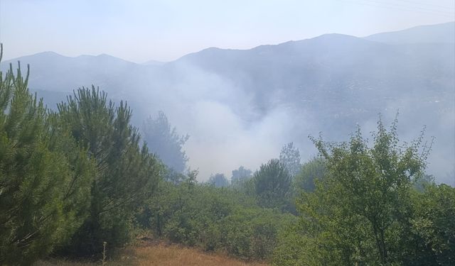 İzmir'de otluk alanda çıkan yangın söndürüldü