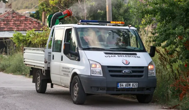 Uşak’ta Sinek ve Sivrisinek Şikayetleri Arttı, Gözler Belediyeye Çevrildi
