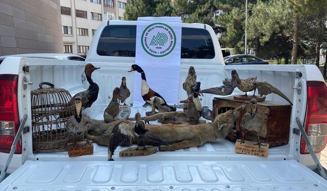 Afyonkarahisar'da 14 hayvan tahniti ele geçirildi