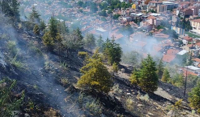 Afyonkarahisar'da ağaçlık alanda çıkan yangın söndürüldü