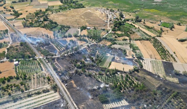 Afyonkarahisar'da tarım arazilerinde çıkan yangın söndürüldü