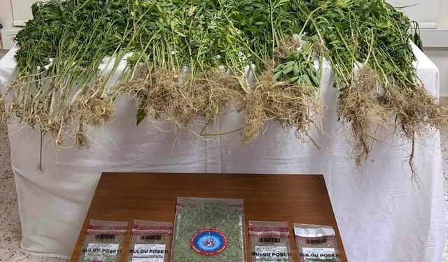Denizli'de uyuşturucu operasyonunda 1 şüpheli tutuklandı