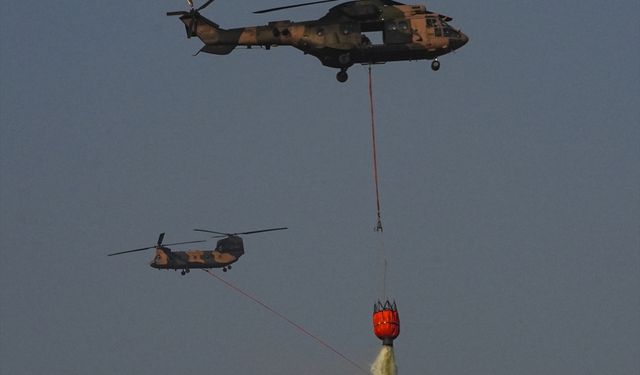 İzmir'de çıkan orman yangını kontrol altına alındı
