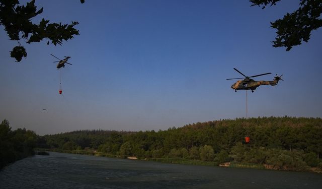 İzmir'de çıkan orman yangınına müdahale ediliyor