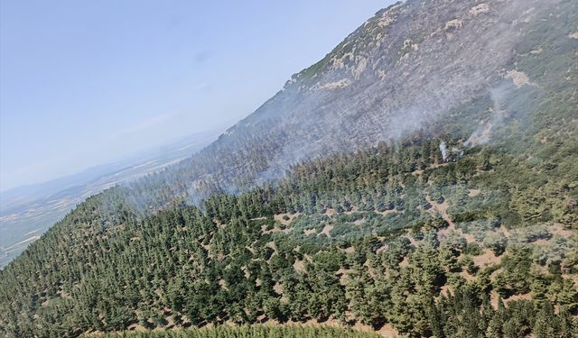 Manisa'nın Saruhanlı ilçesinde çıkan orman yangınına müdahale ediliyor