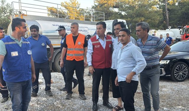 Milas'ta iki bölgede çıkan orman yangınlarından biri kontrol altına alındı