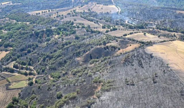 Manisa'da 80 orman yangınında 61'i büyümeden söndürüldü