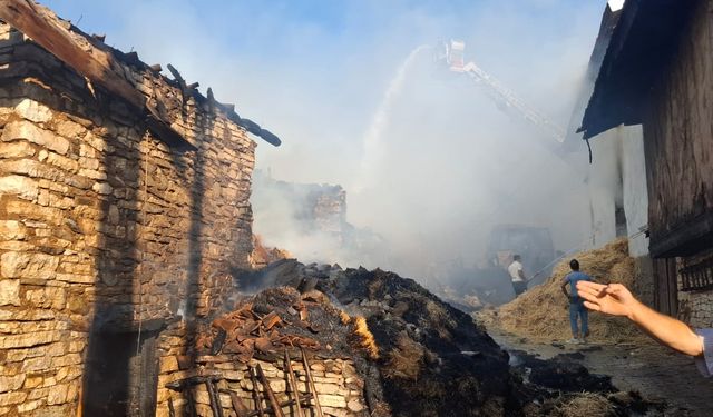 Kütahya'da köyde çıkan yangında 2 ev ile 4 samanlık kullanılamaz hale geldi
