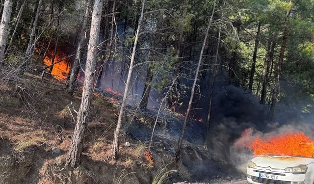 Muğla'da otomobilde çıkan ve ormana sıçrayan yangın söndürüldü