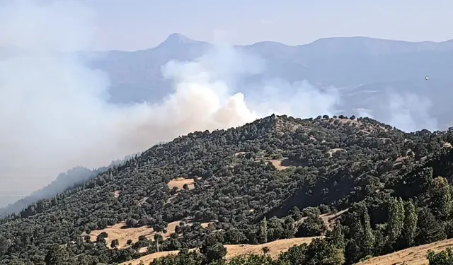 Denizli'de ormanlık alanda çıkan yangına müdahale ediliyor