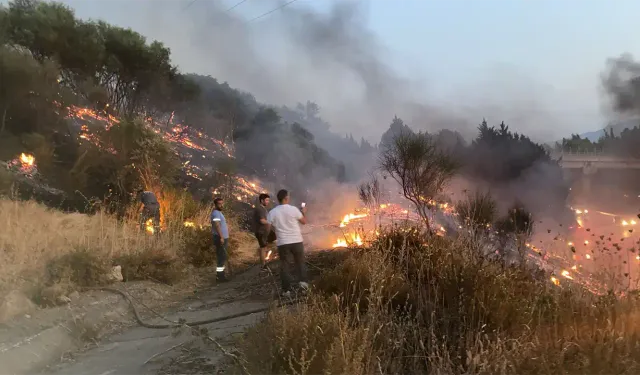 İzmir'de anızda çıkıp ağaçlık alana sıçrayan yangın söndürüldü