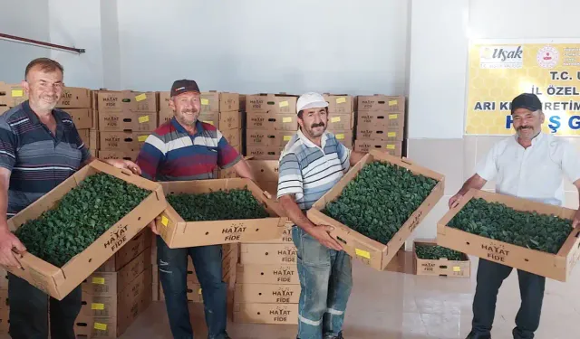 Banaz ve Eşme’de 80 Üreticiye Fide Desteği